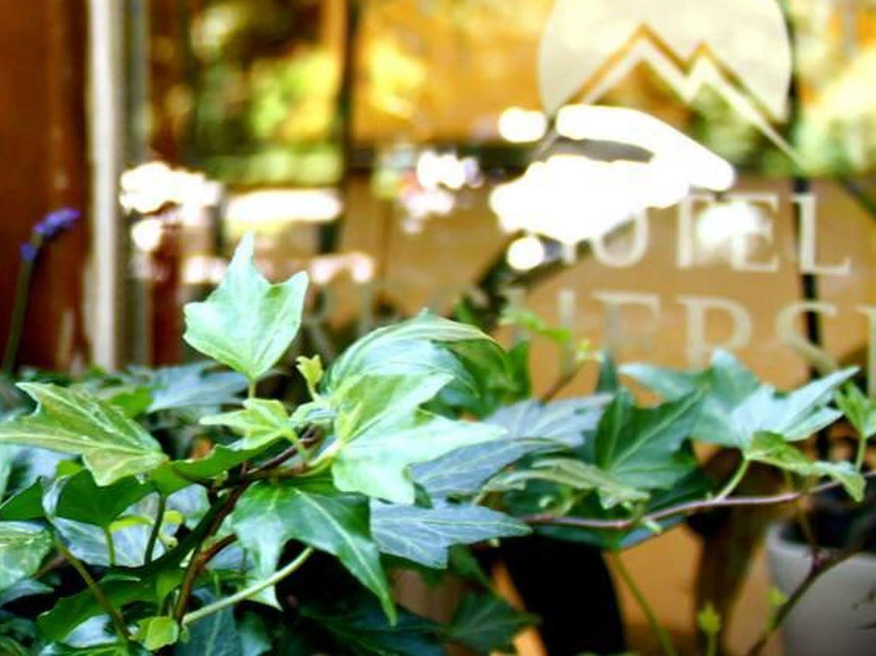 Hotel Brecherspitze Münih Dış mekan fotoğraf
